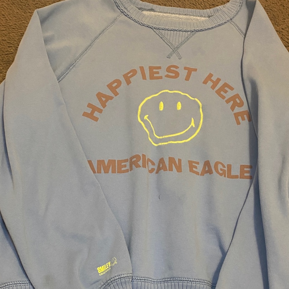 American Eagle Outfitters Light Blue Crewneck Sweater